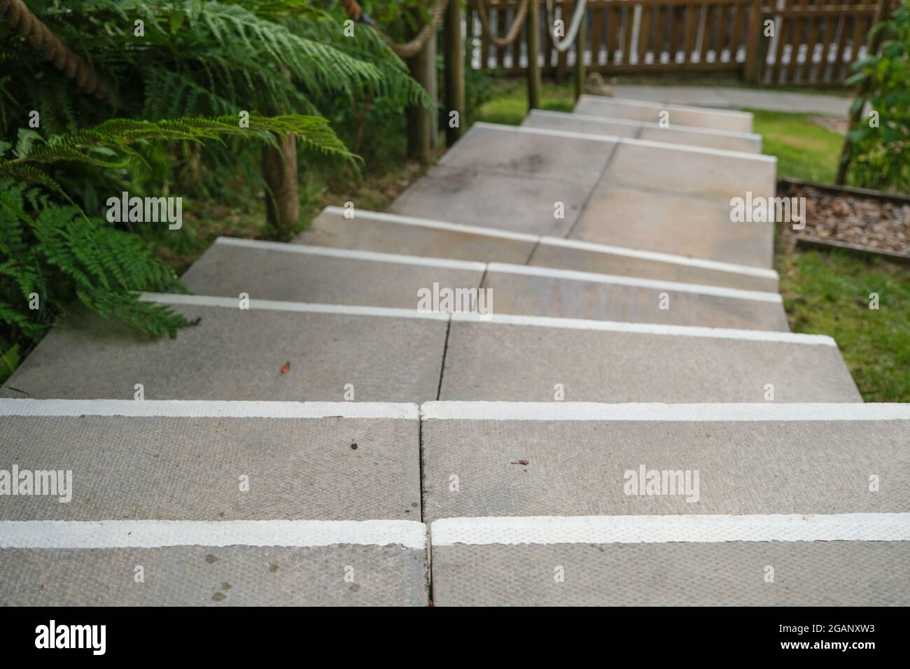 Looking down on white antislip step nosing lines on concrete steps