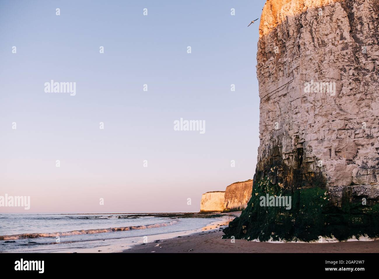 Chalk Cliffs at Botany Bay beach at Broadstairs on the Kent Coastline England UK At Sunset. Stock Photo