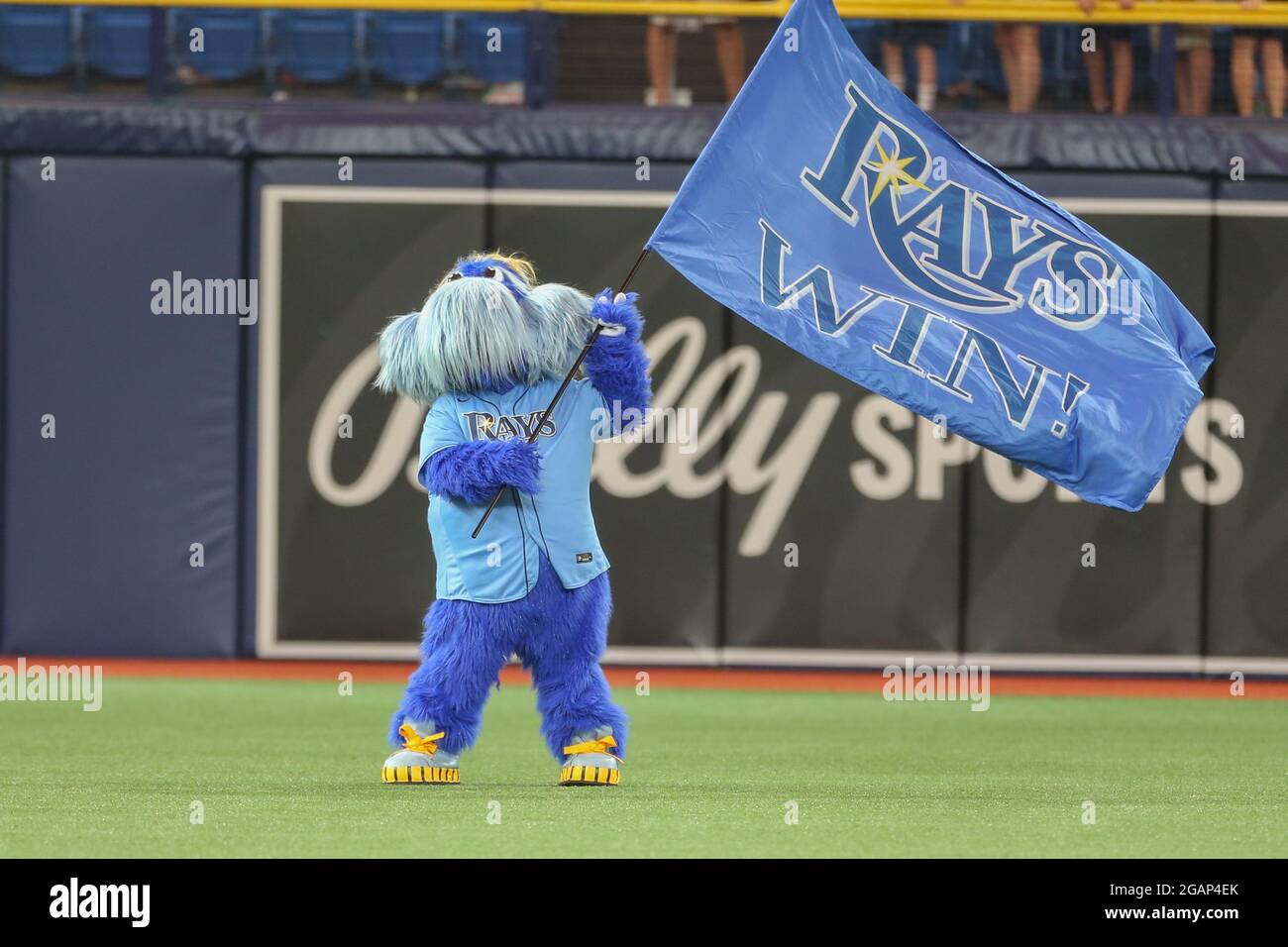 Tampa bay rays mascot hires stock photography and images Alamy