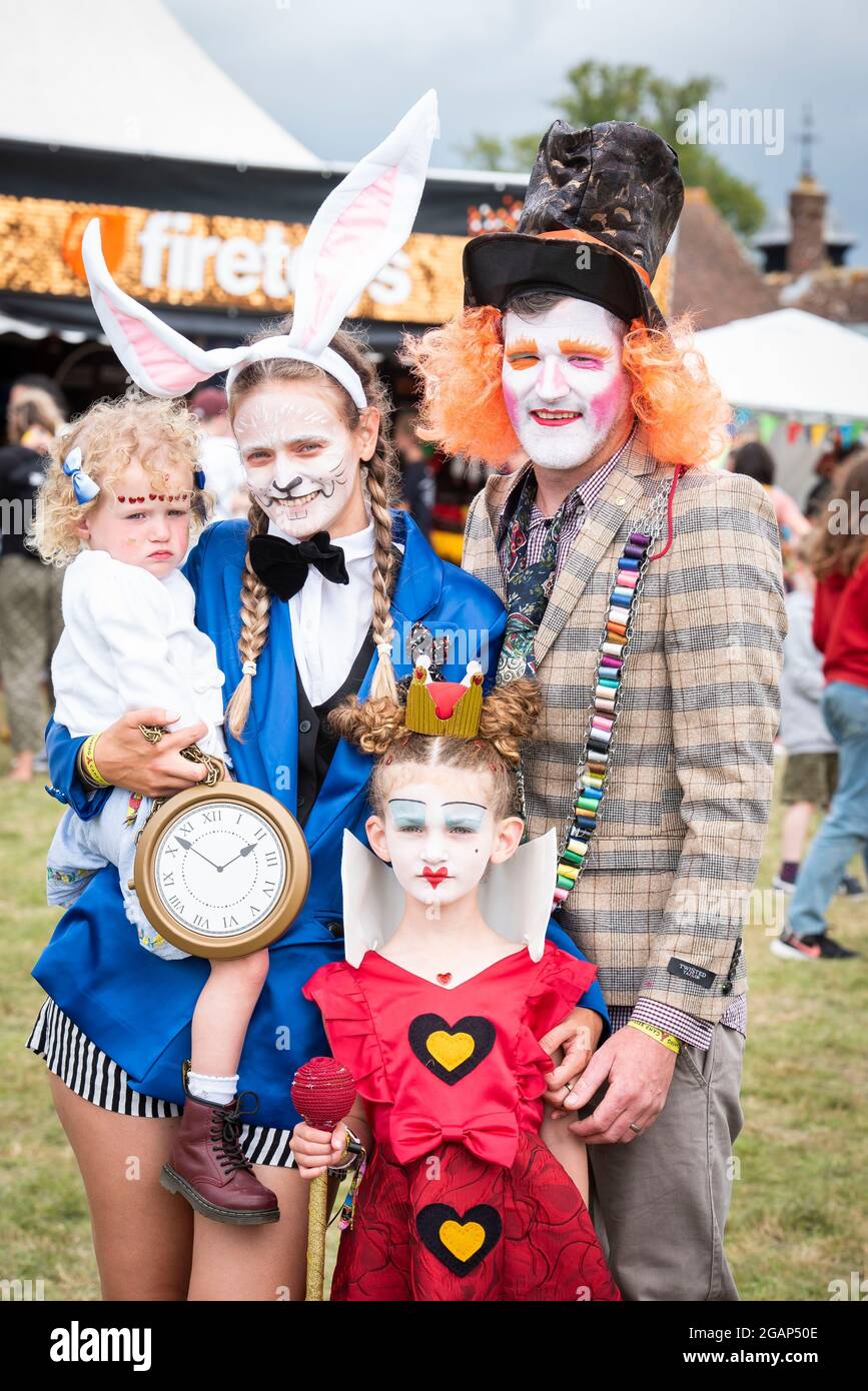 Mad hatter fancy dress hi-res stock 