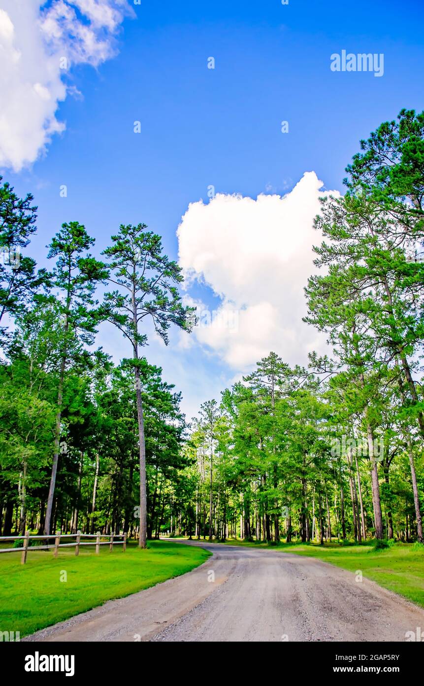 Historic Blakeley State Park is pictured, June 26, 2021, in Spanish