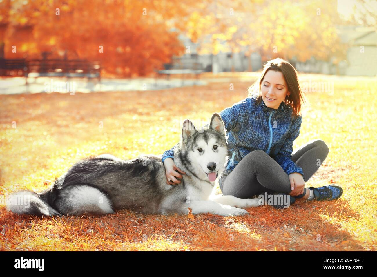Happy young woman sitting with her dog on grass in park Stock Photo - Alamy