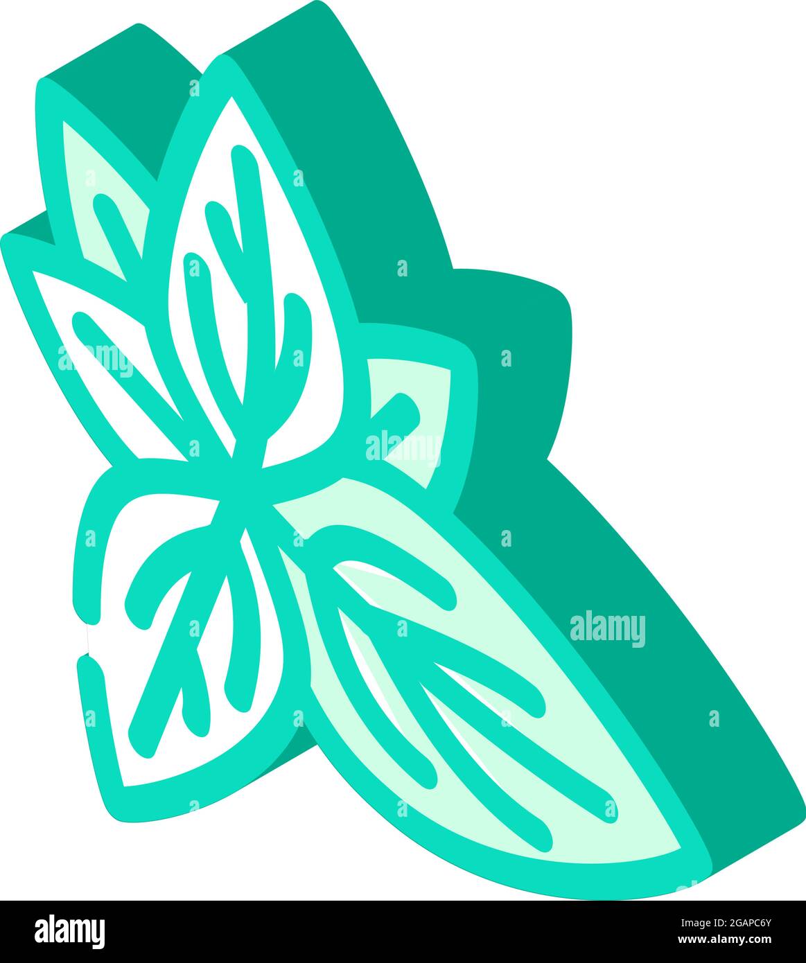 basil leaves isometric icon vector illustration Stock Vector Image ...