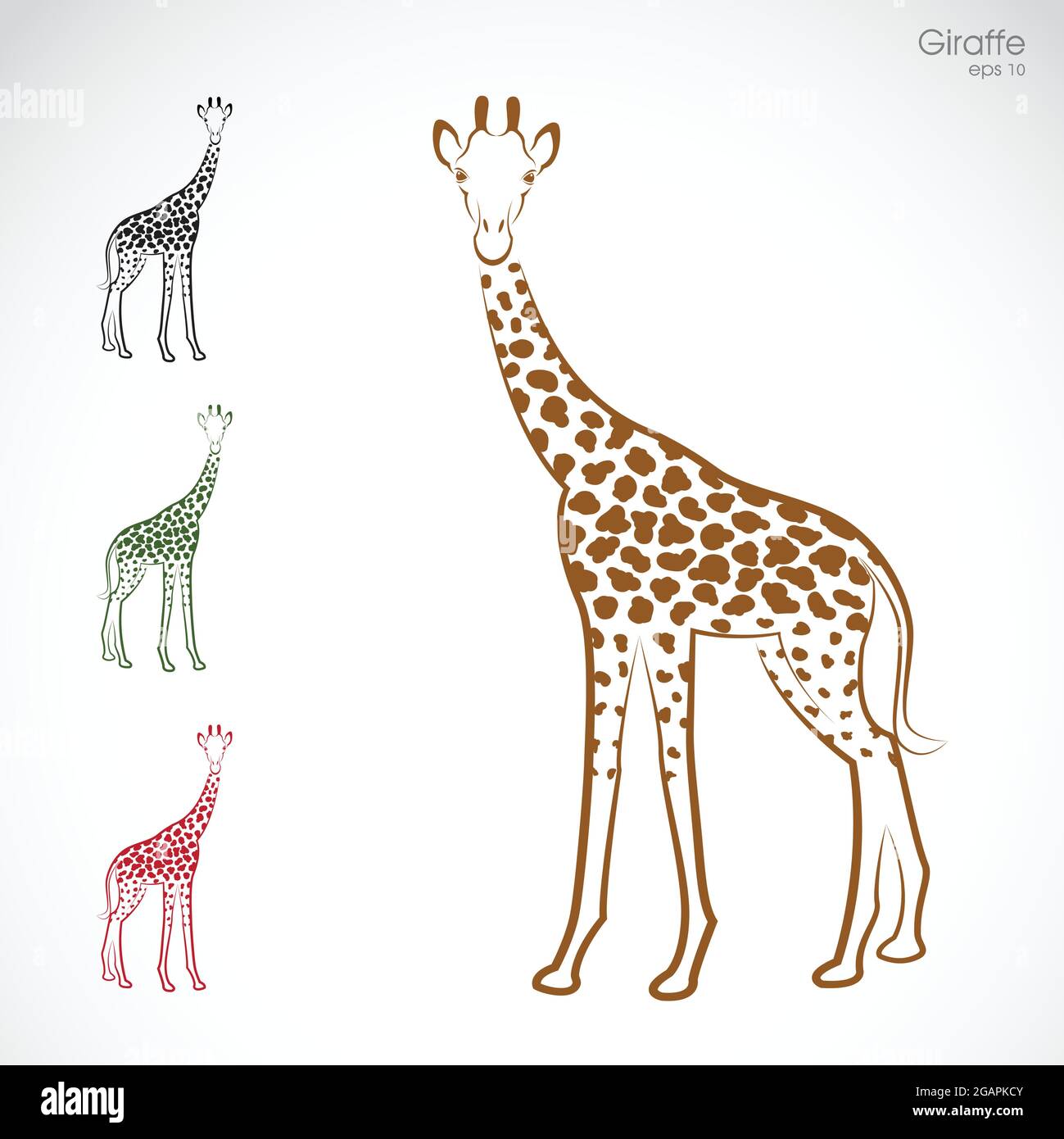 Vector image of an giraffe on a white background. Easy editable layered vector illustration. Wild Animals. Stock Vector