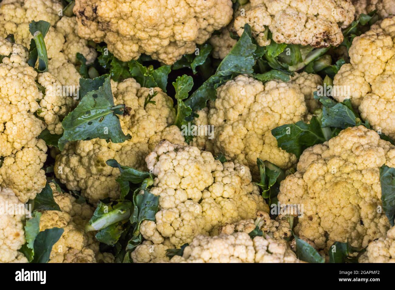 Cauliflower in a stall in Nuwara Eliya Sri Lanka Stock Photo