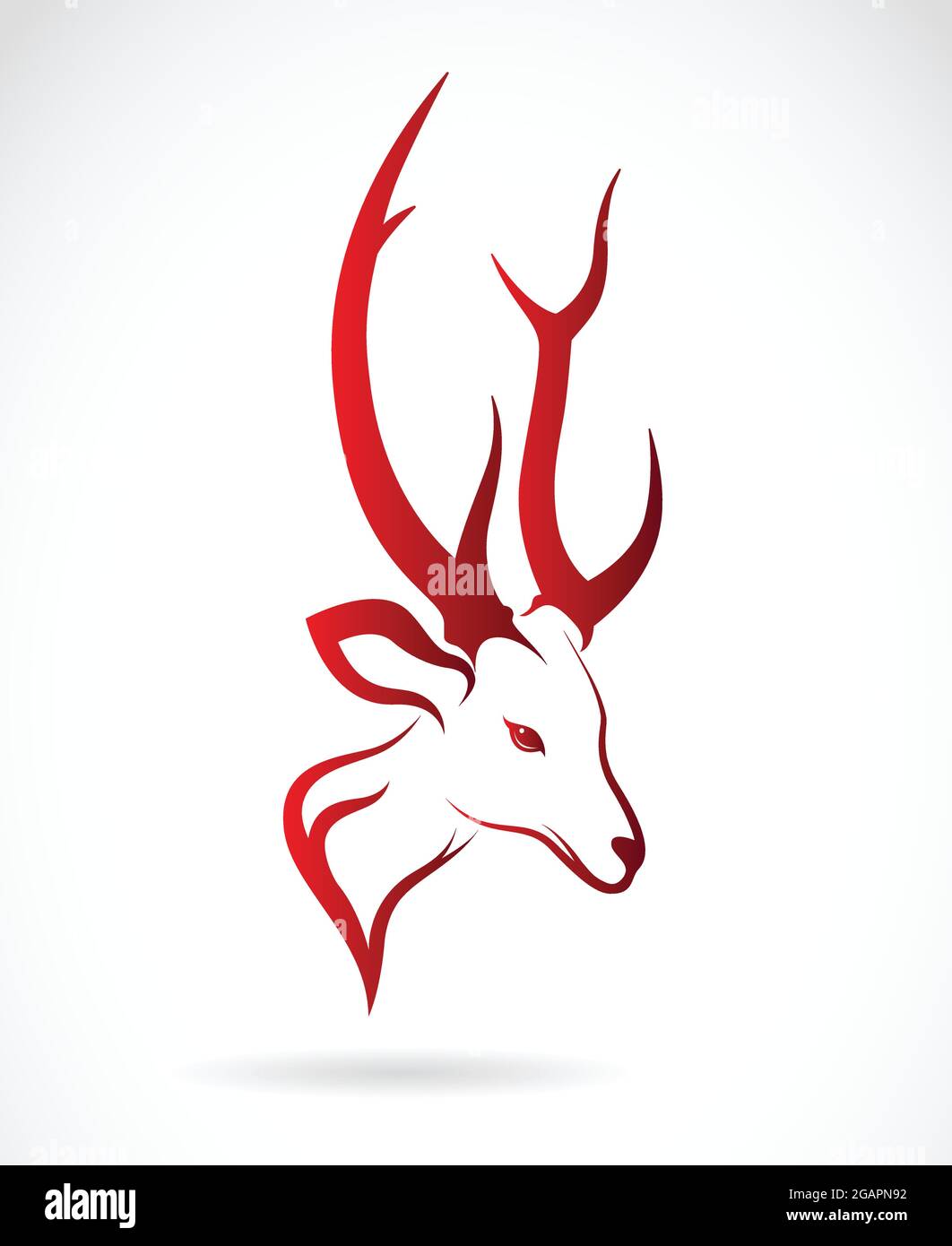 Vector image of an deer head on a white background. Easy editable ...