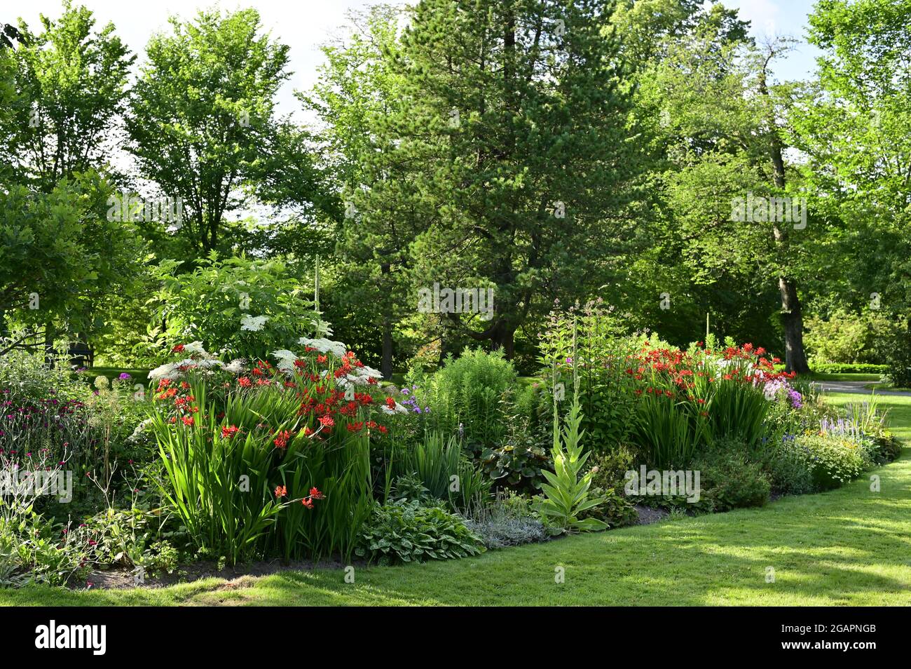 Beautiful landscape design in a public park Stock Photo