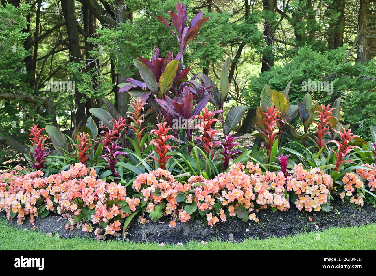 Multi flower in the garden. Lush landscaped garden with flowerbed and colorful plants Stock Photo