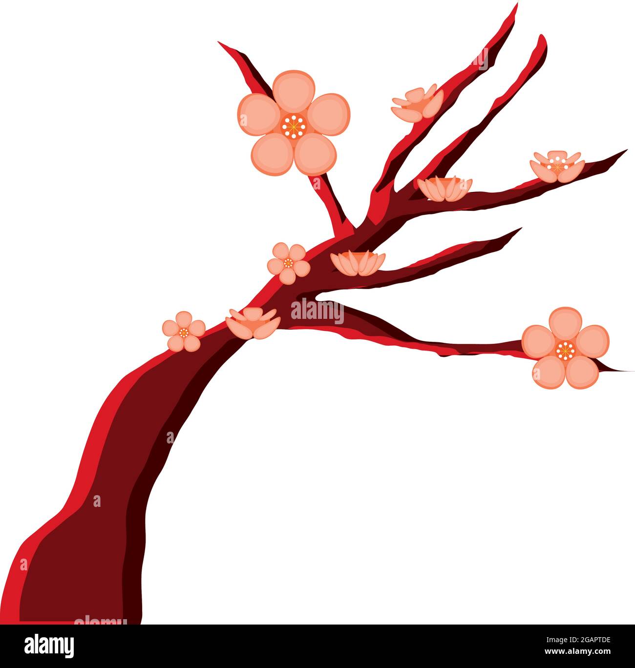 cherry blossom tree Stock Vector Image & Art - Alamy