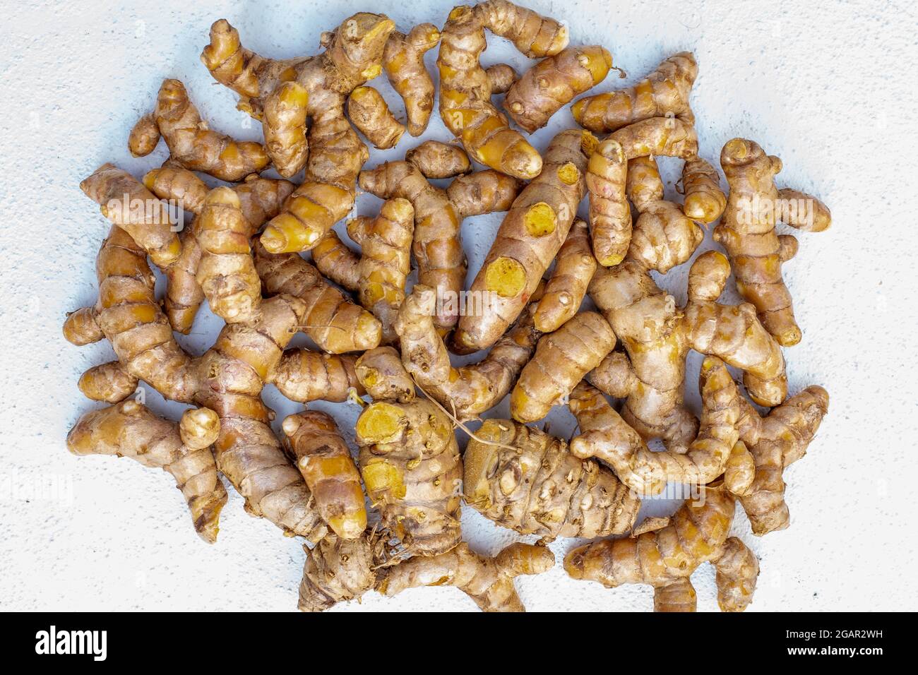 close up of fresh turmeric ( curcuma longa ) roots isolated on white. Stock Photo
