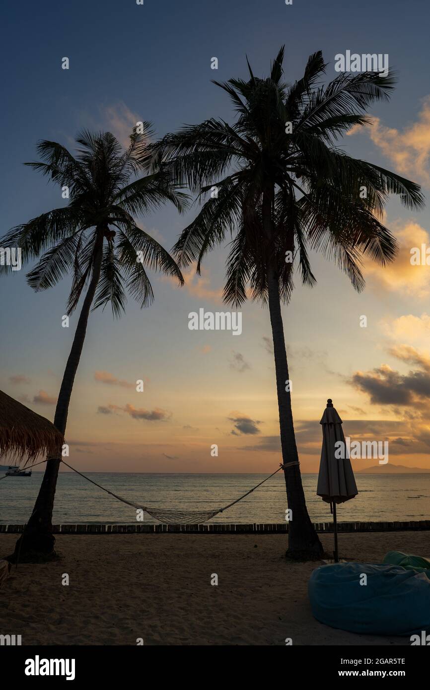 A vertical shot of swing tied between two coconut palm trees by the