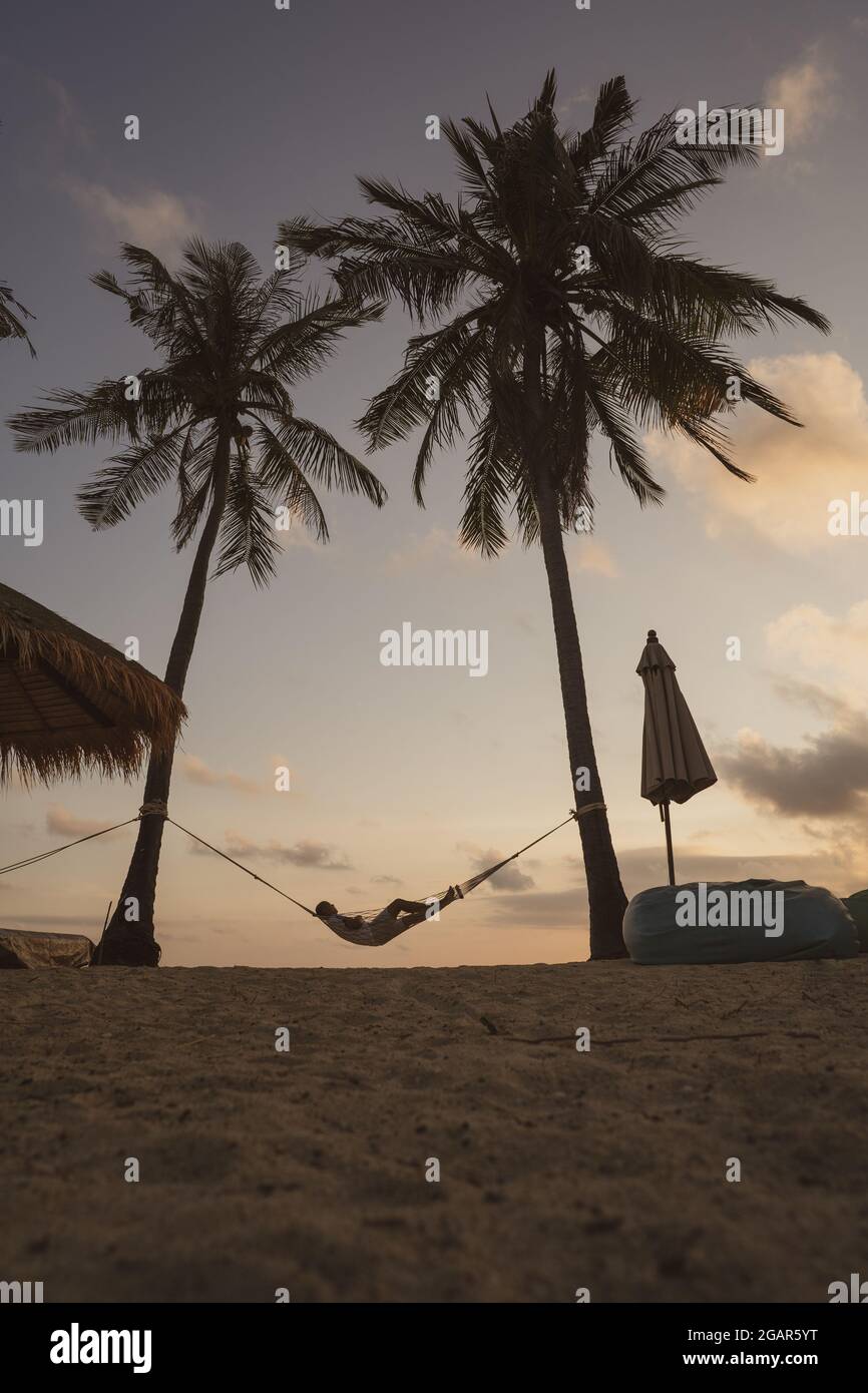 A vertical shot of swing tied between two coconut palm trees by the