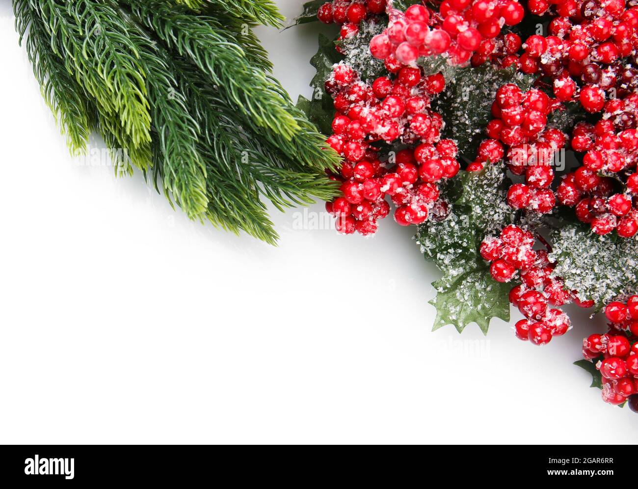 Christmas tree branch with red berries on white background Stock Photo ...