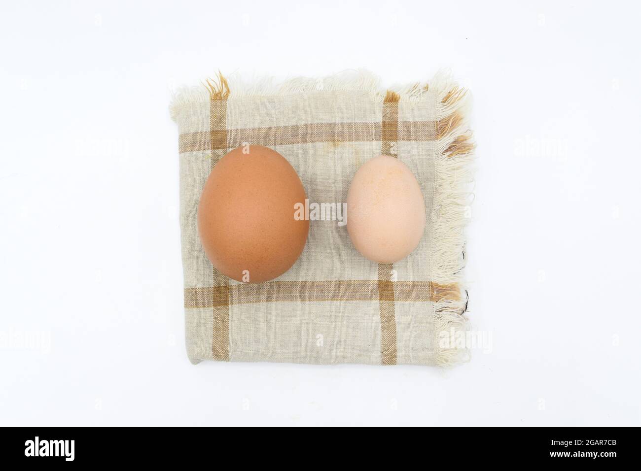 Comparing standard chicken egg and bantam egg. Isolated on white. Stock Photo