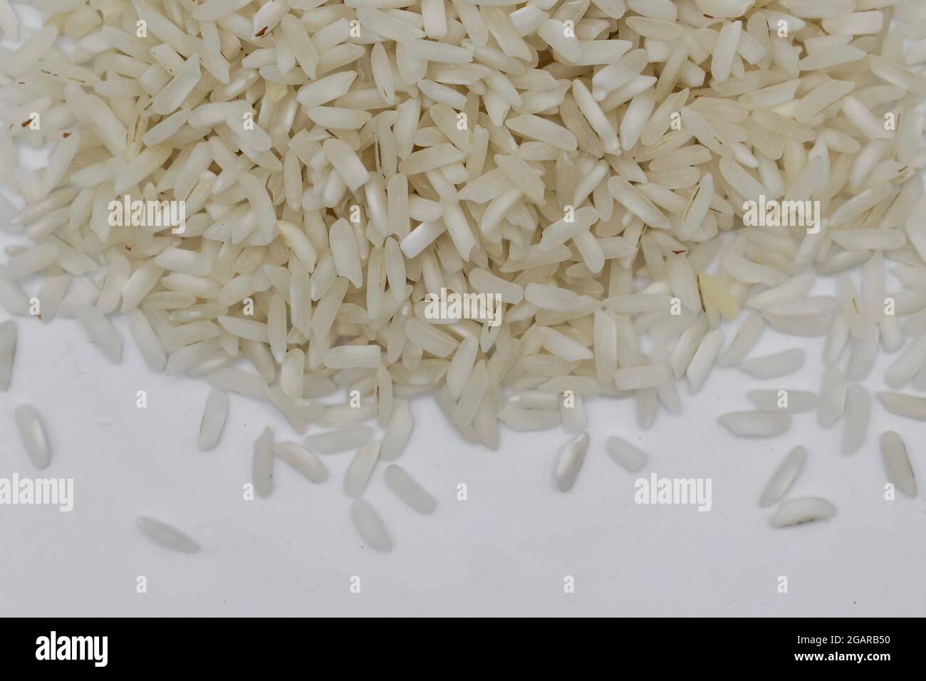 White basmati rice grain made in Myanmar, Asia. Rice is the seed of the