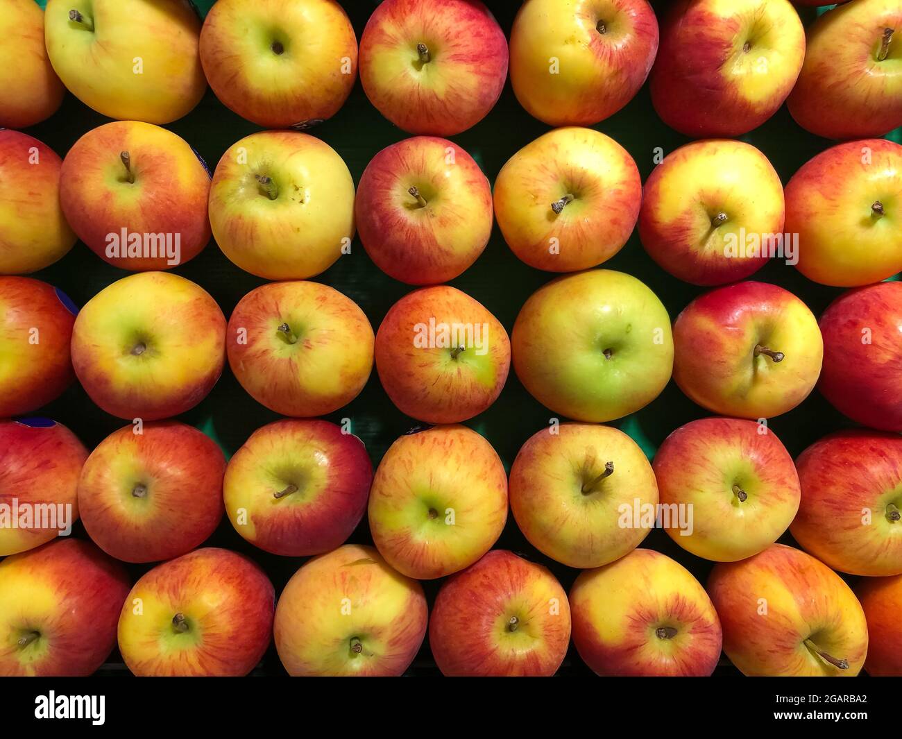 Cox apples arranged in stack in supermarket for sale. Background image of apple fruits. Stock Photo