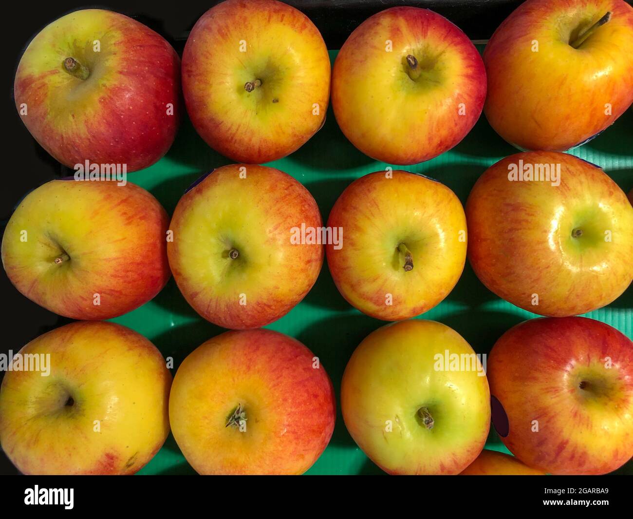 Cox apples arranged in stack in supermarket for sale. Background image of apple fruits. Closeup view Stock Photo