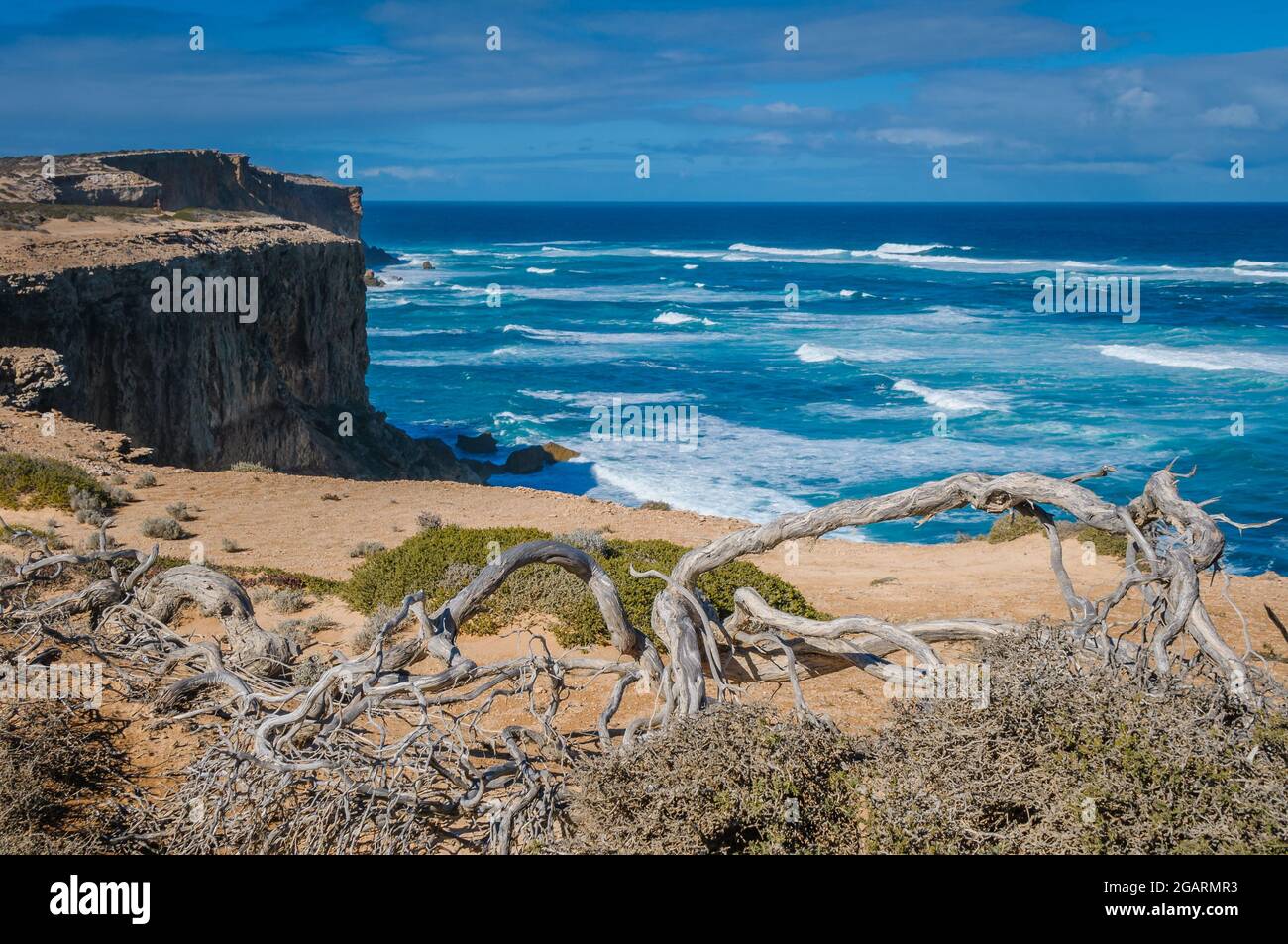 Sheer cliffs and arid semi-desert vegetation of the Head of the Bight on the Southern Ocean Stock Photo