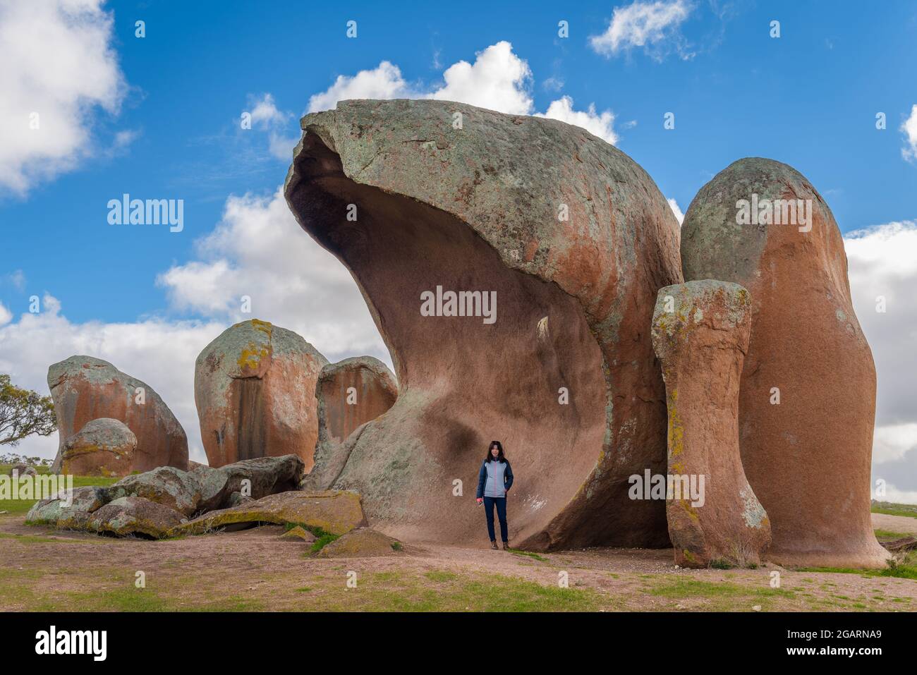 Gigantic red granite boulders known as Murphy's haystacks are a tourist attraction on farmland near Streaky Bay on Eyre Peninsula in South Australia. Stock Photo