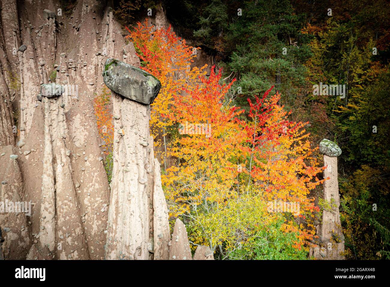 Lush foliage of autumn trees surrounding the earth pyramids rocks ...