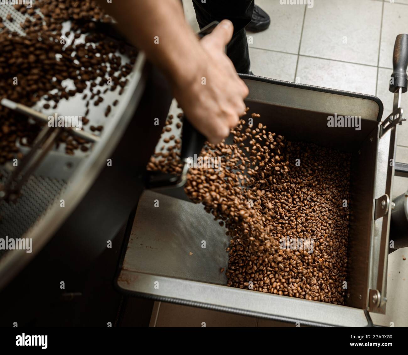 Coffee processing. Roastery, roasting machine and fresh beans Stock ...