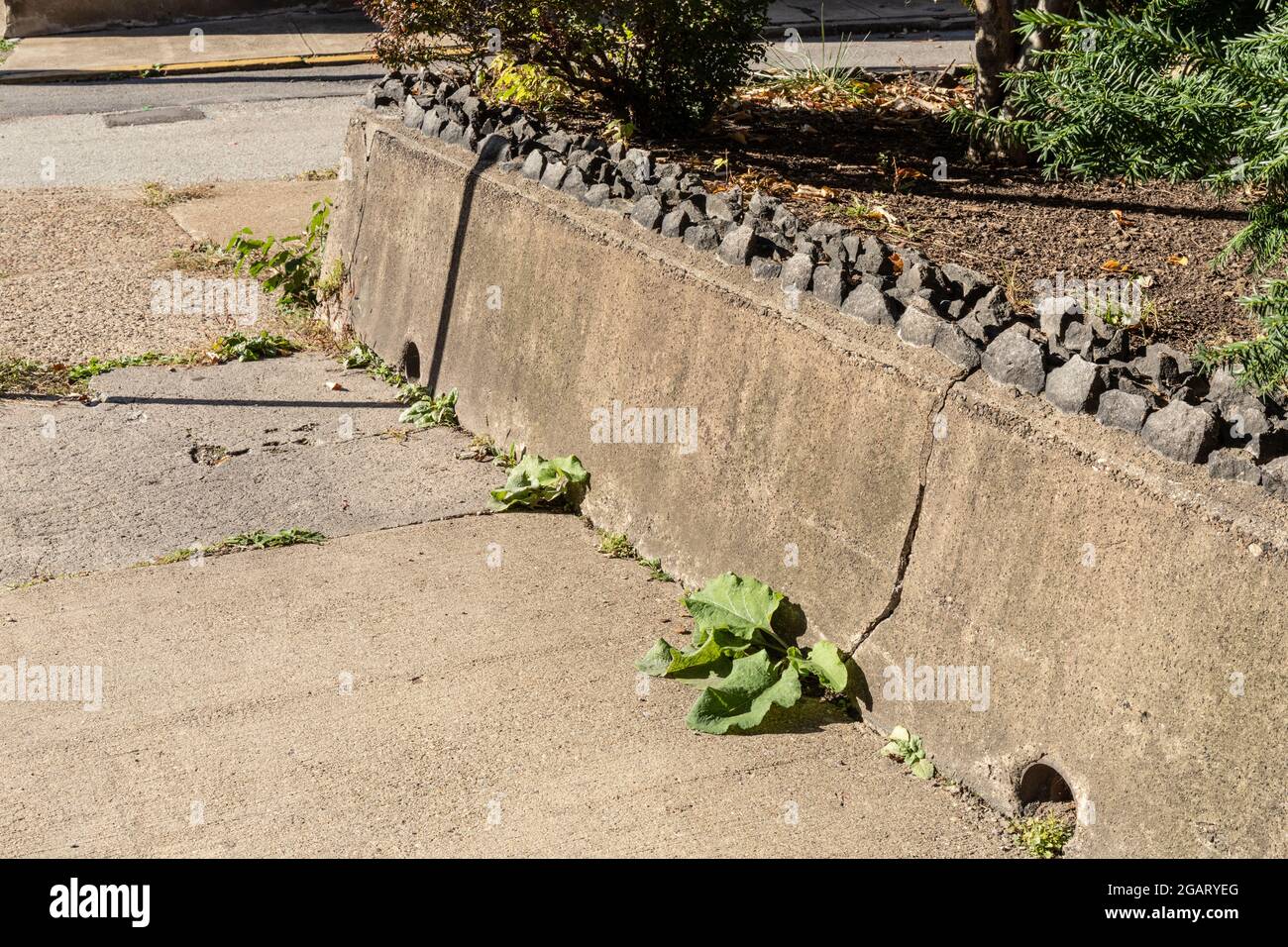 Short retaining wall alongside a concrete sidewalk topped with dark, sharp rocks, horizontal
