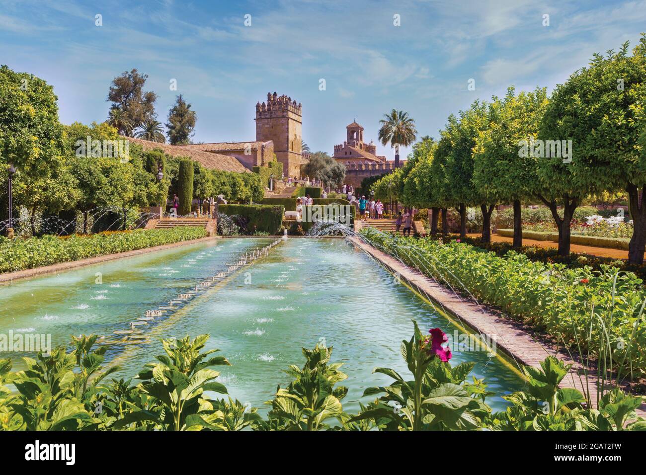 Pool in the Lower Garden, Alcazar de los Reyes Cristianos, Cordoba, Cordoba Province, Andalusia, Spain.  The Historic Centre of Cordoba is a UNESCO Wo Stock Photo