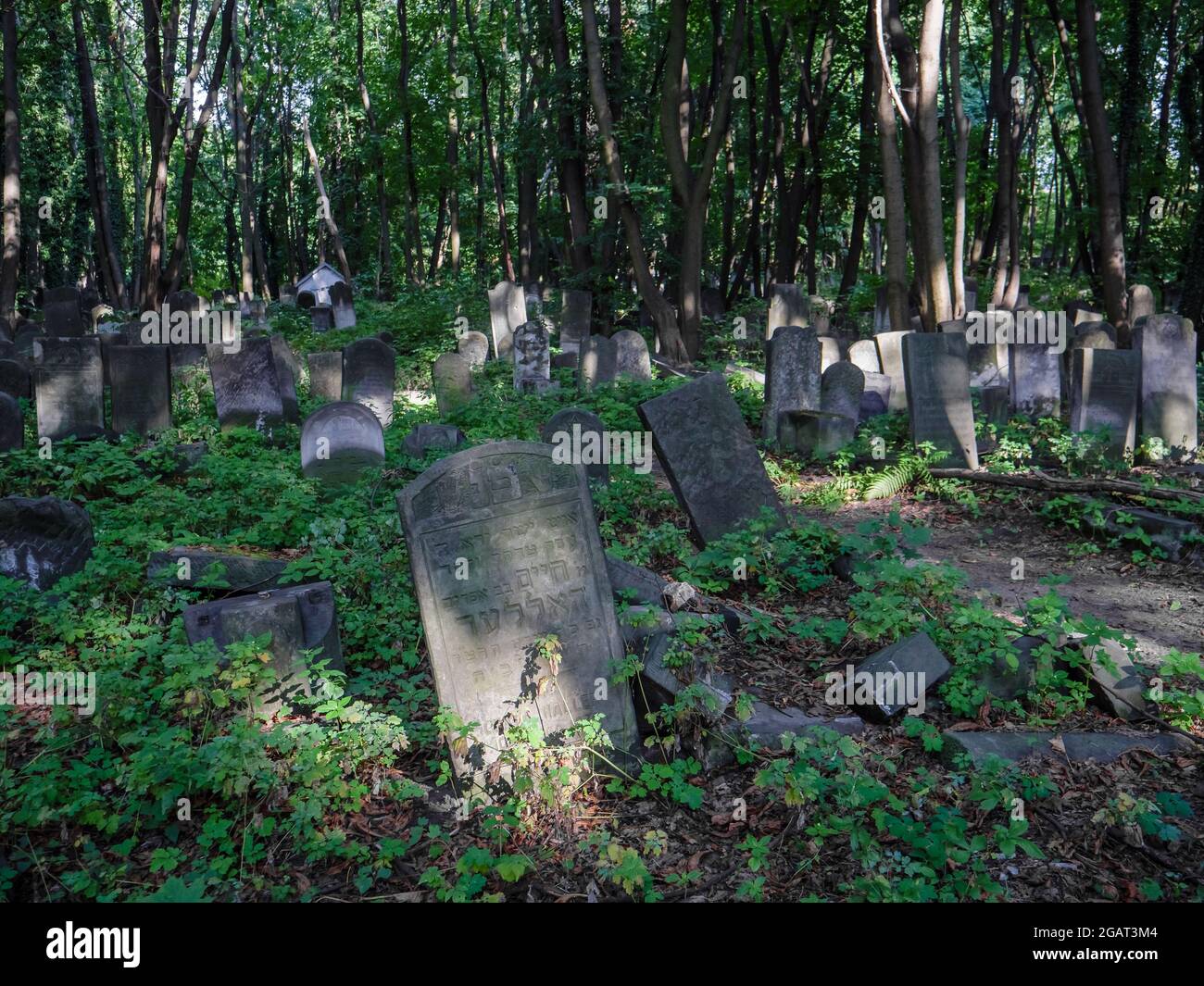 Warsaw, Poland. August 22, 2019. Old, abandoned and destroyed tombs in the Warsaw Jewish Cemetery (Cmentarz Zydowki) Stock Photo
