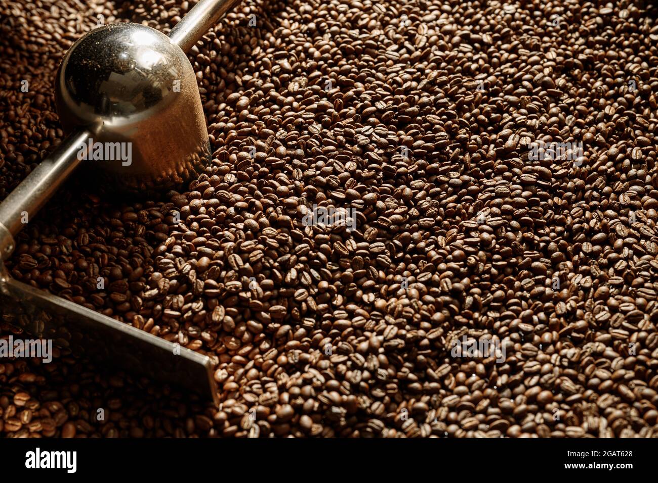 Coffee processing. Roastery, roasting machine and fresh beans Stock ...