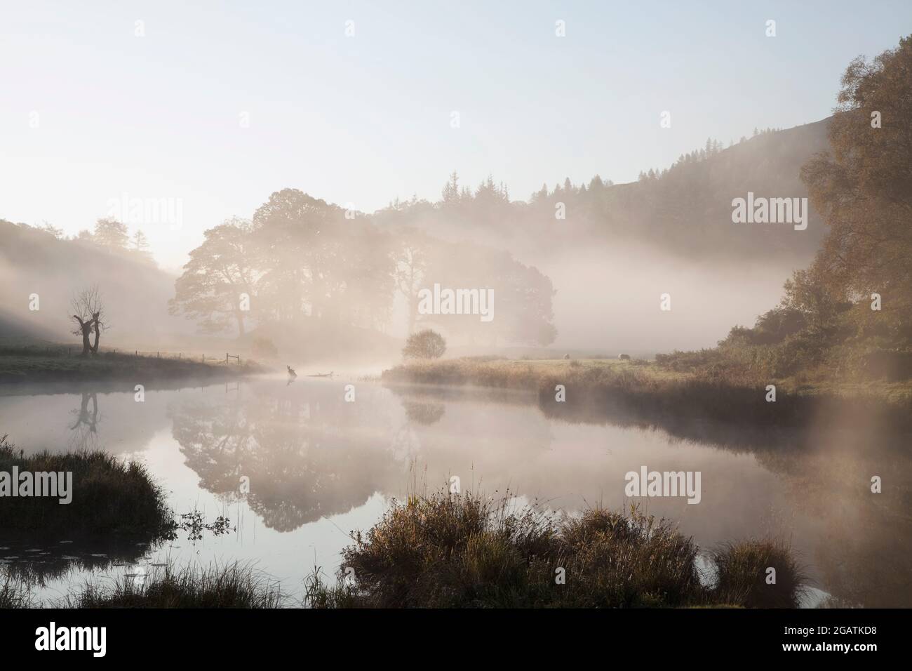 River Brathay near Elter Water in a foggy Langdale Valley, English Lake District Stock Photo