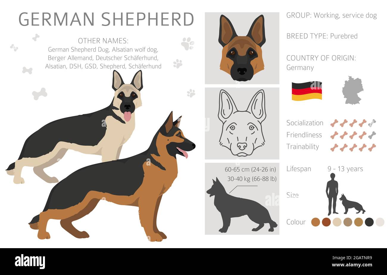 gsd coats