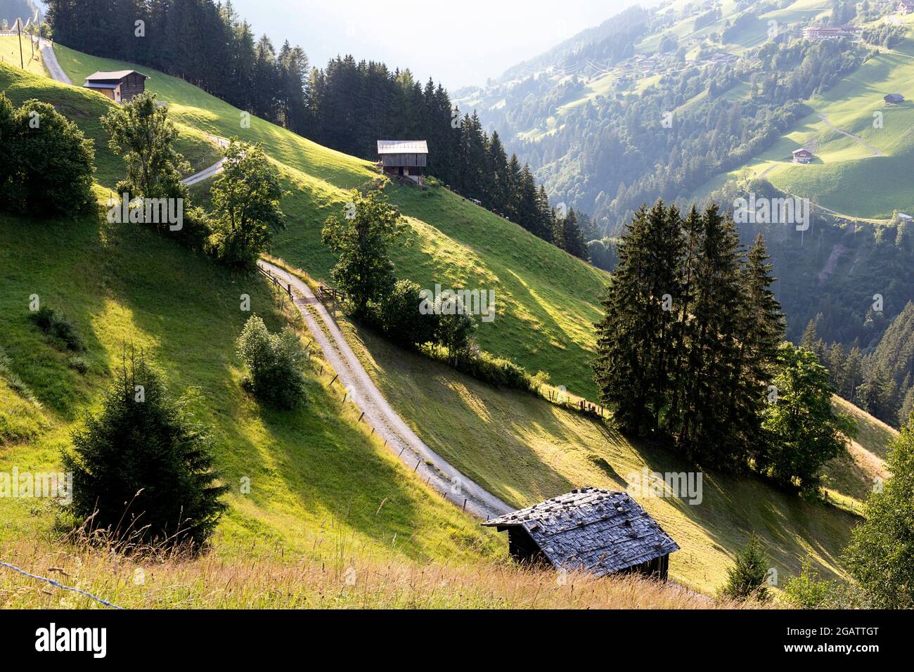 Wooden cabins on pastures in scenic mountain landscape in summer, Tyrol ...