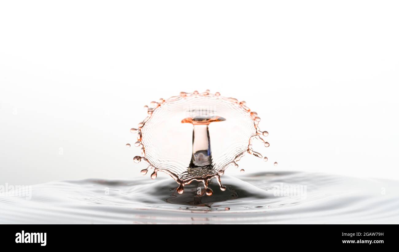 Close-up photograph of two water droplets colliding making an unusual ...