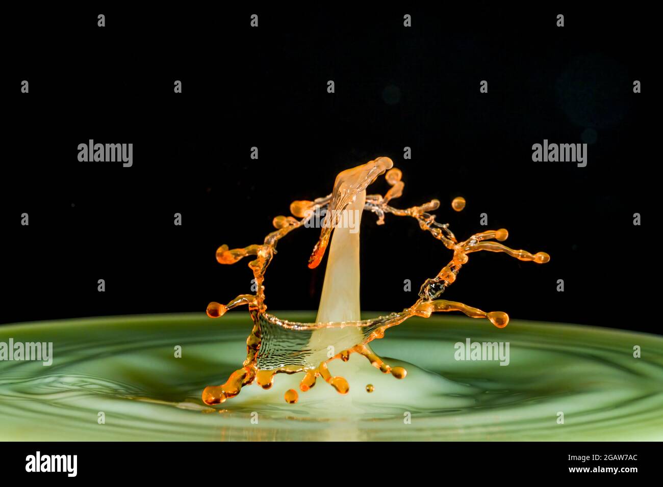 Close-up photograph of two water droplets colliding making an unusual ...