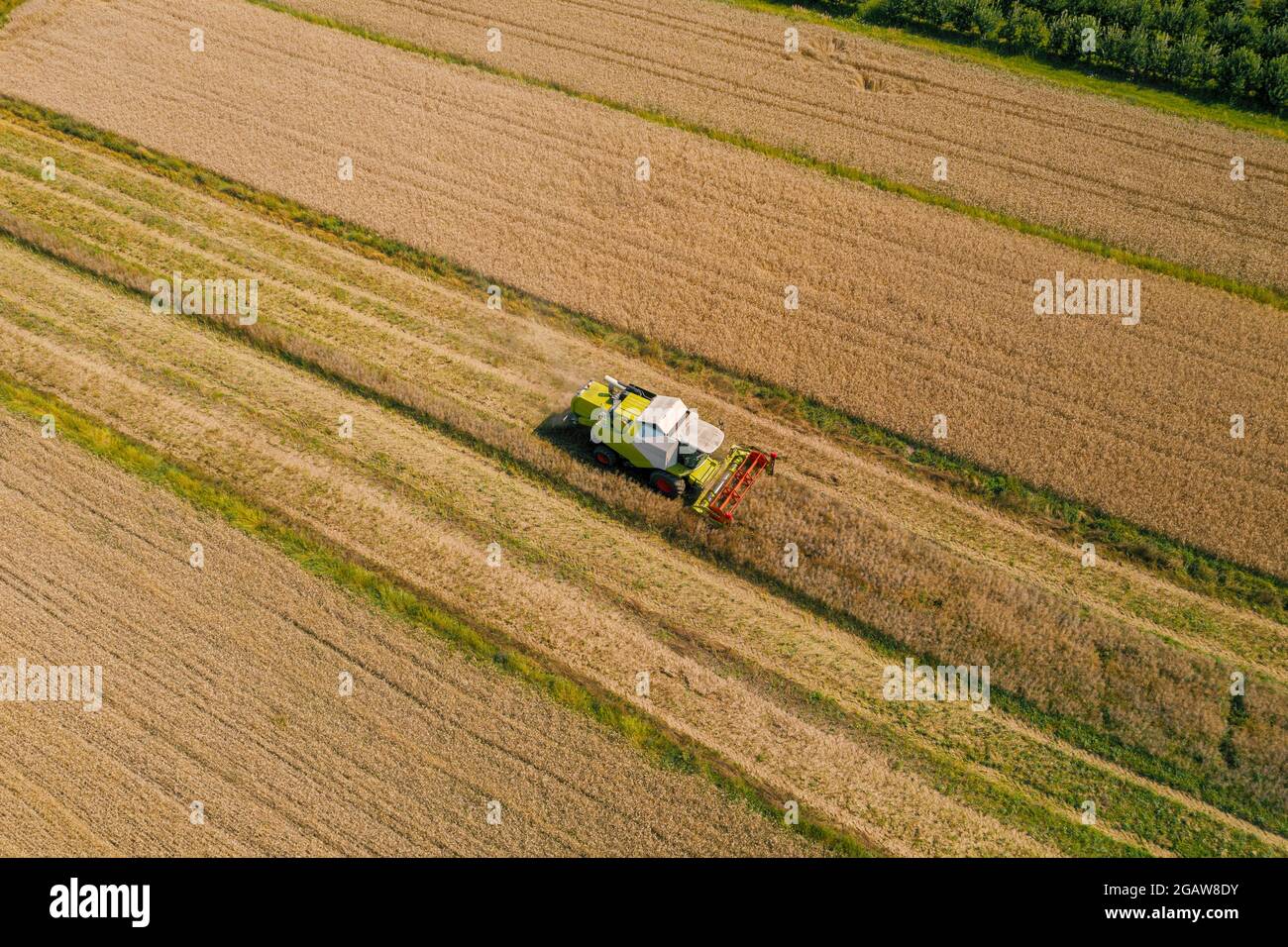 Drone picture of combine harvester in the field Stock Photo - Alamy