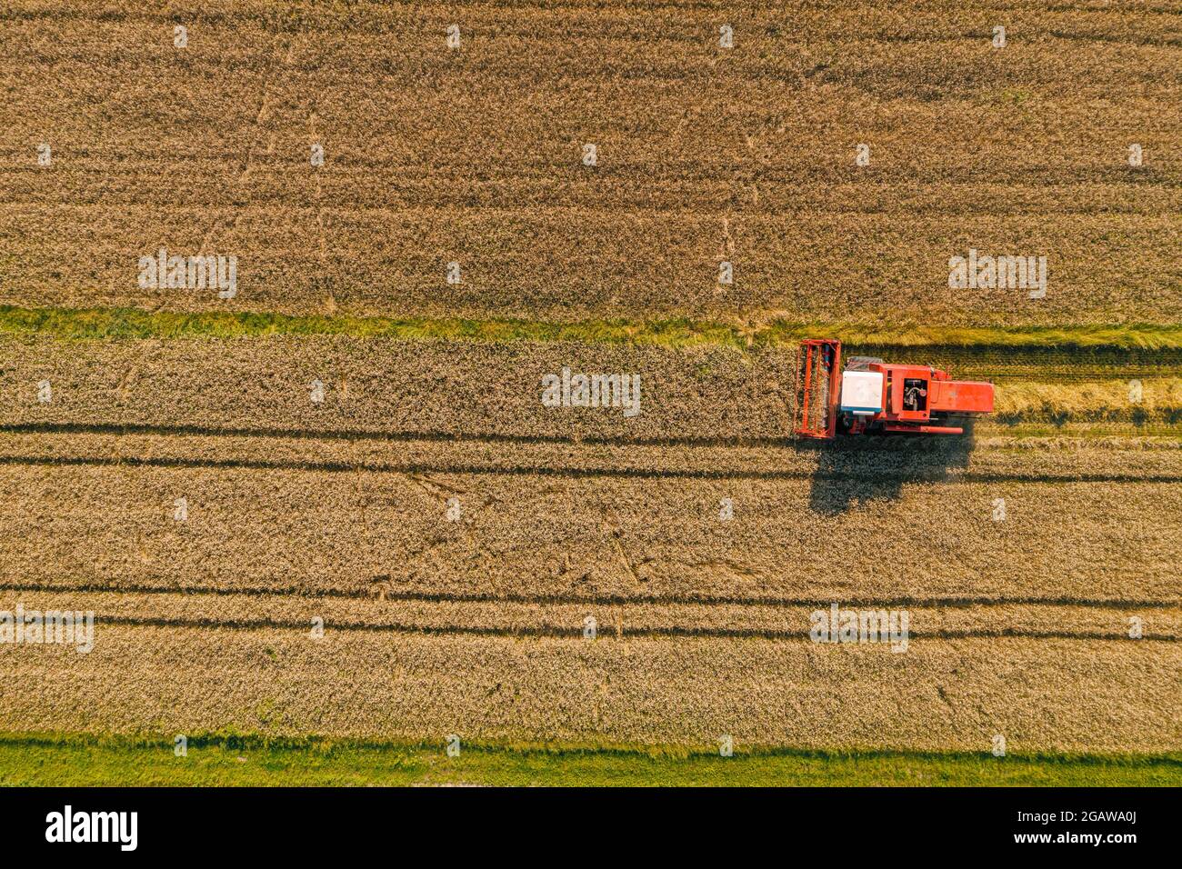 Drone picture of combine harvester in the field Stock Photo - Alamy