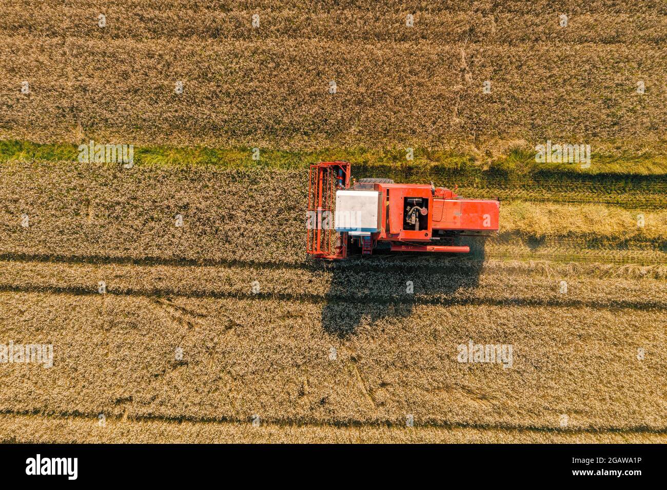 Drone picture of combine harvester in the field Stock Photo - Alamy