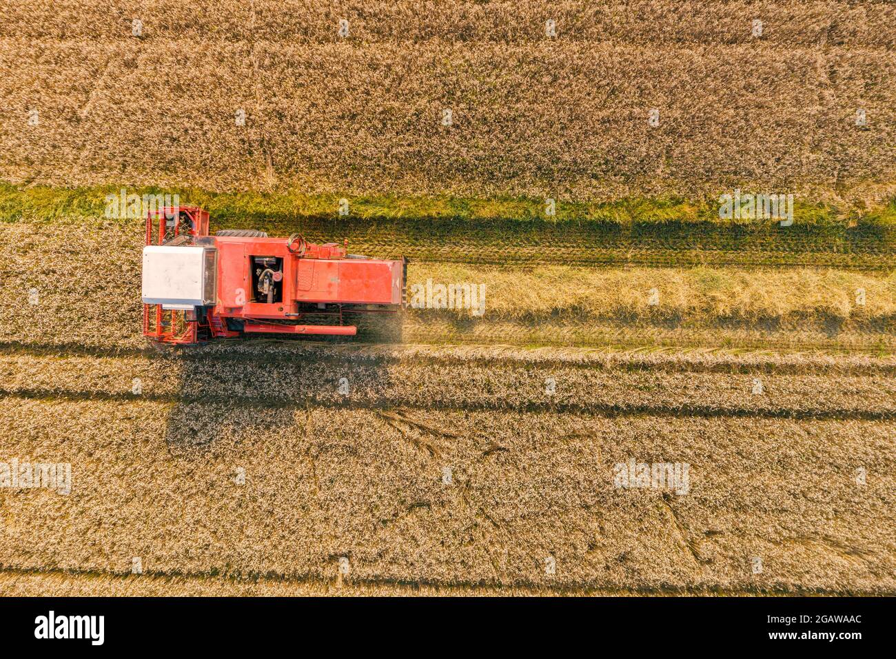 Drone picture of combine harvester in the field Stock Photo - Alamy