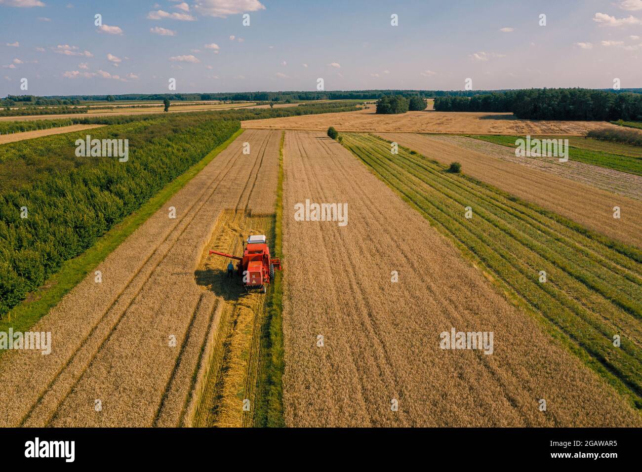 Drone picture of combine harvester in the field Stock Photo - Alamy