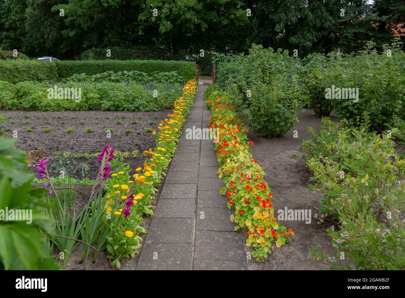 Allotment garden in Denmark with vegetables, fruits, berries, flowers. Of course there is also a garden house.--------------   Kleingarten in Dänemark Stock Photo