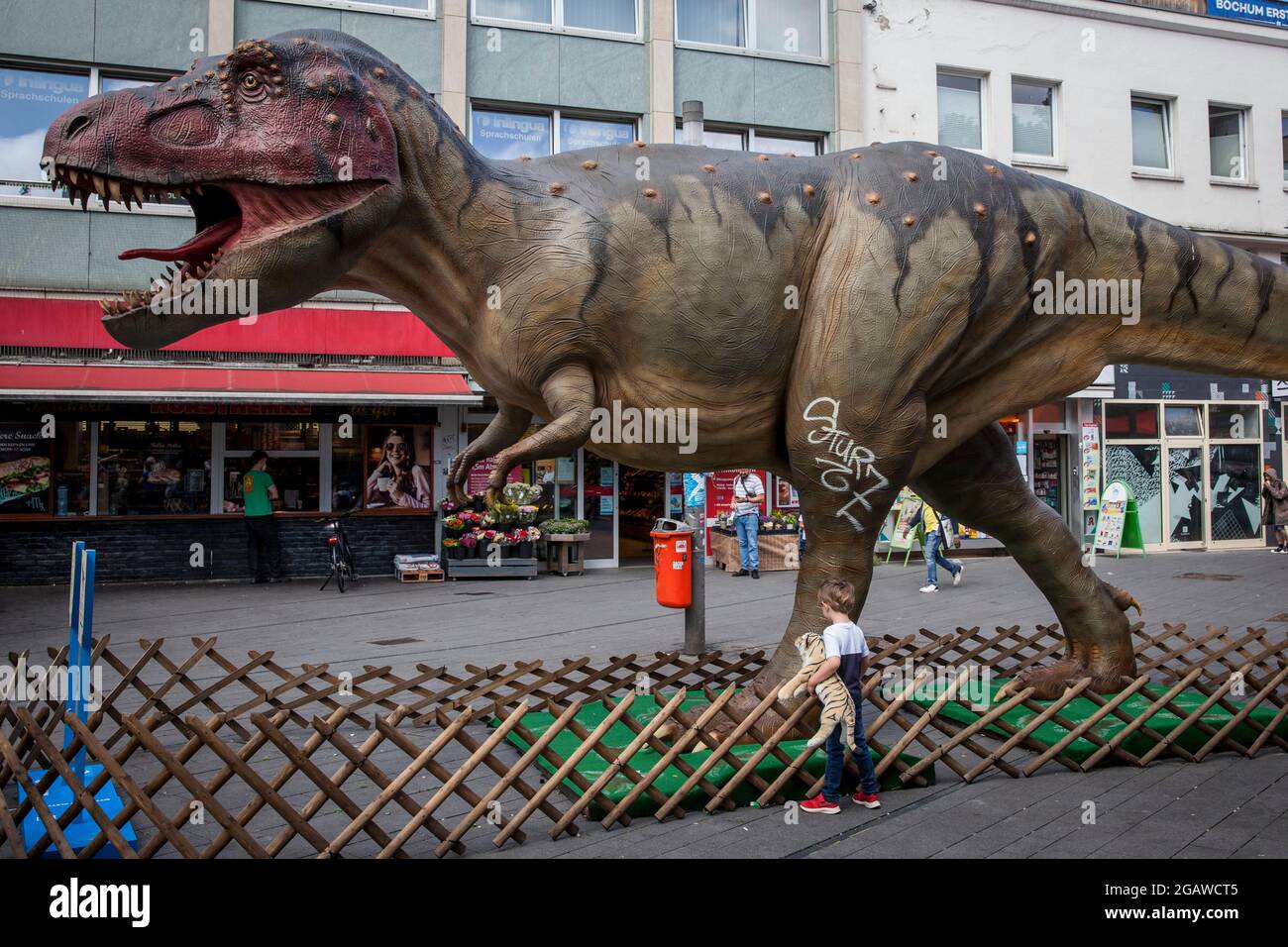 life-size dinosaurs models exhibited at various locations in the city center of Bochum, here: Tyrannosaurus, boy with stuffed animal, North Rhine-West Stock Photo