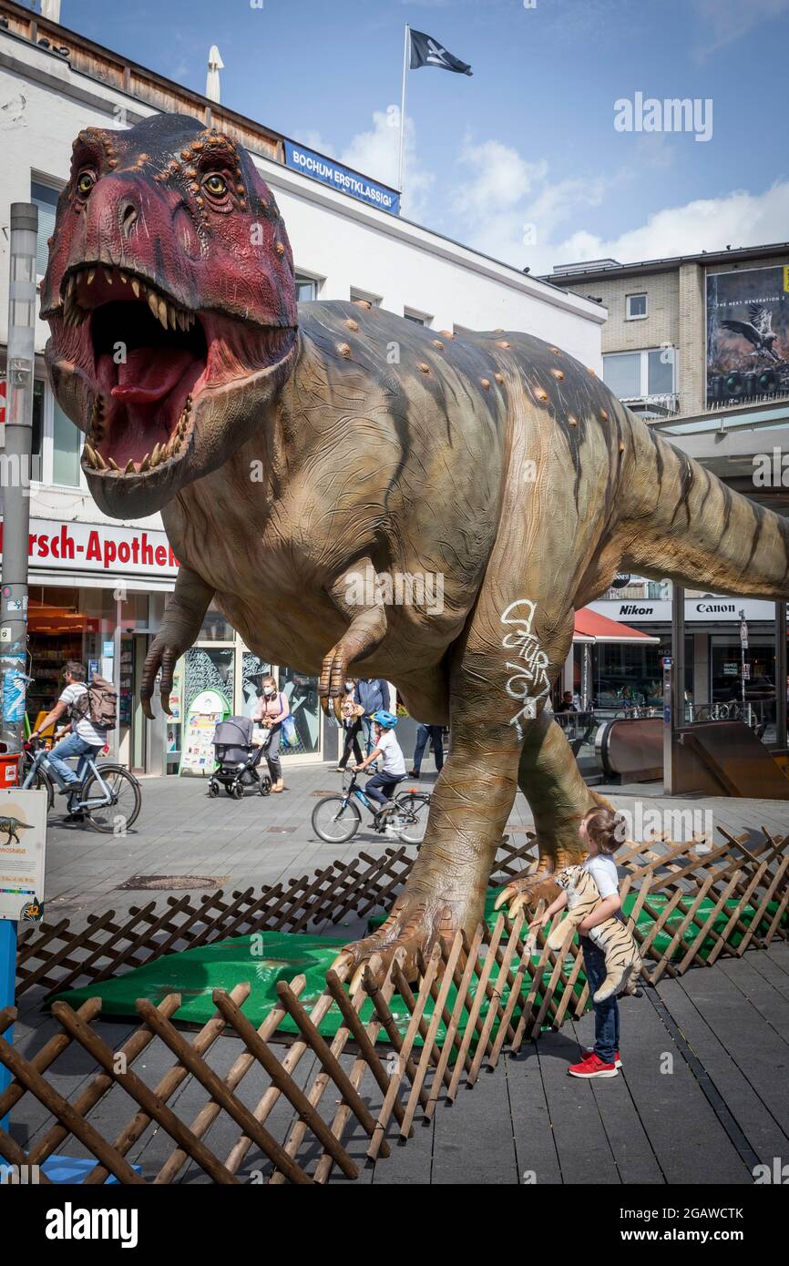 life-size dinosaurs models exhibited at various locations in the city center of Bochum, here: Tyrannosaurus, boy with stuffed animal, North Rhine-West Stock Photo