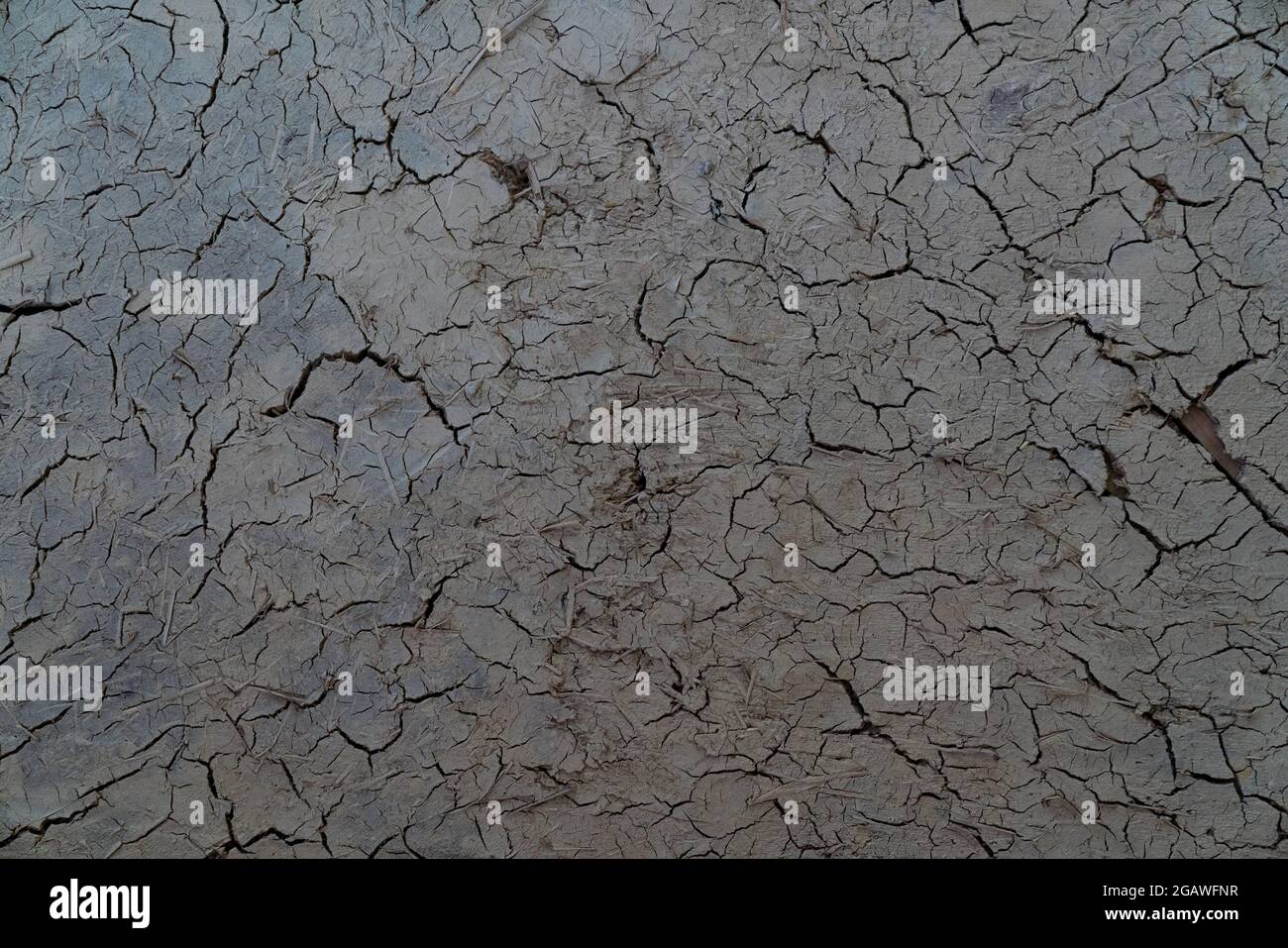 Cracked dry clay wall texture or background Stock Photo