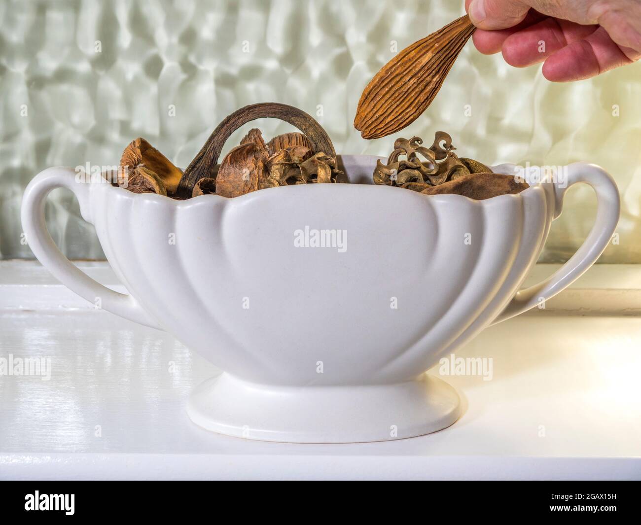 Closeup POV shot of a man’s hand adding a final piece of potpourri to a decorative white pot on a painted white shelf, against a window. Stock Photo