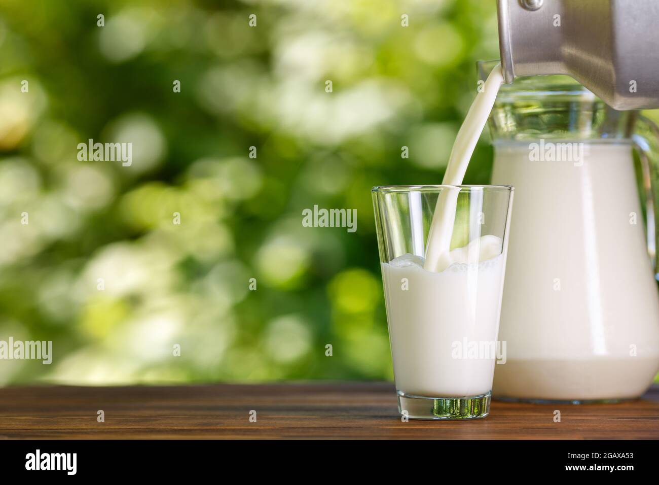 milk pouring from metal can into glass outdoors Stock Photo