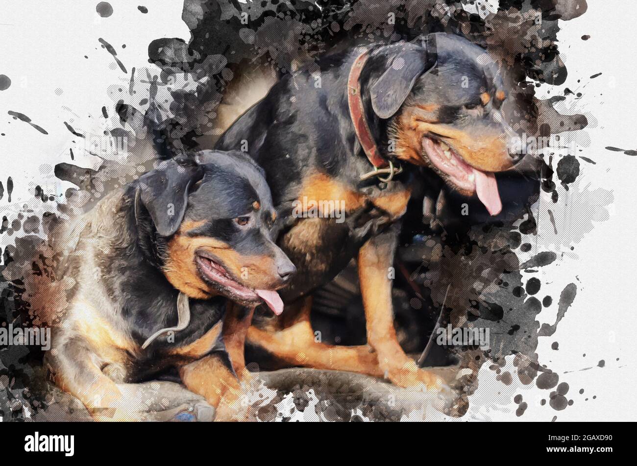 Two dogs on sale painting
