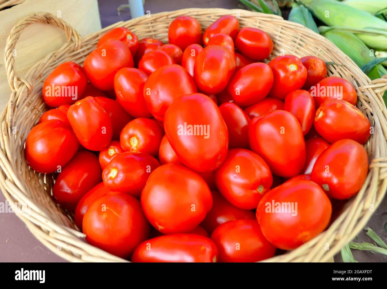 Red ripe plum tomatoes in a wicker basket for sale at a local farm stand. Closeup. Stock Photo