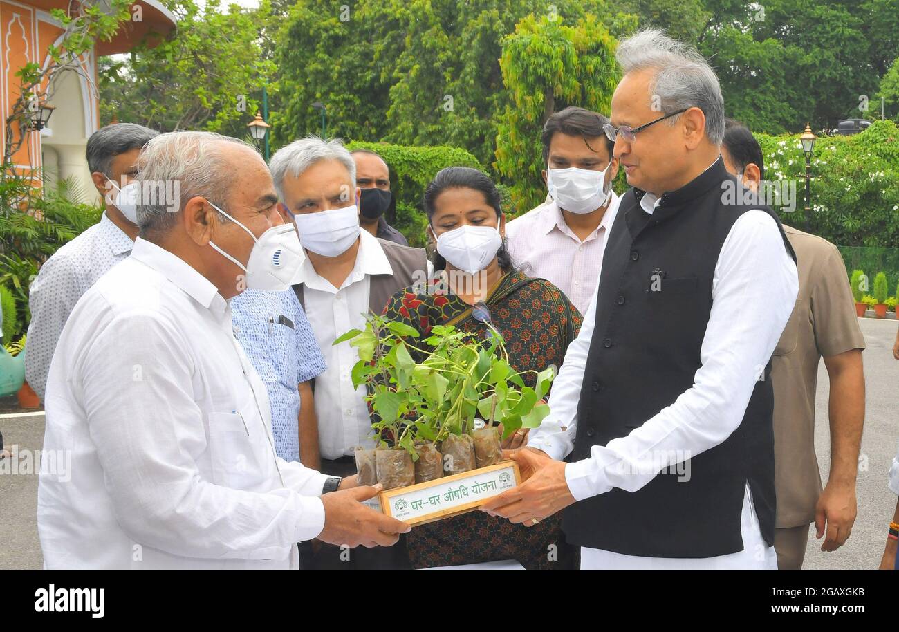 Chief Minister Ashok Gehlot launches door-to-door medicinal plants distribution scheme in Jaipur. Ayurvedic medicines were extensively used to increase immunity of people during Coronavirus pandemic period. Seeing this demand, Rajasthan government will distribute two saplings each of Tulsi, Giloy, Kalmegh and Ashwagandha free of cost to every house in the state. (Photo by Sumit Saraswat/Pacific Press) Stock Photo