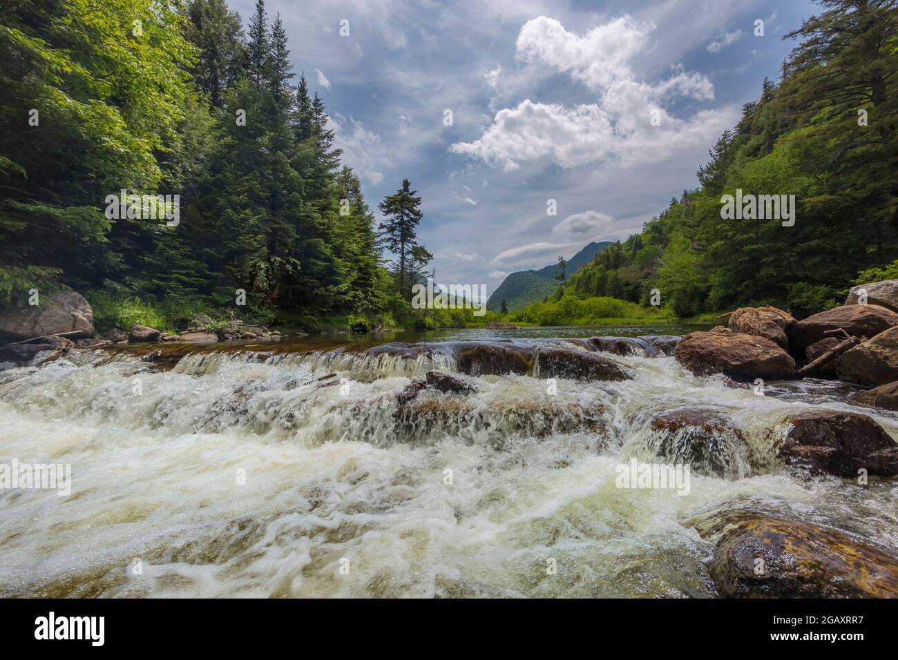 East Branch Ausable River, Adirondack Park; New York, USA Stock Photo