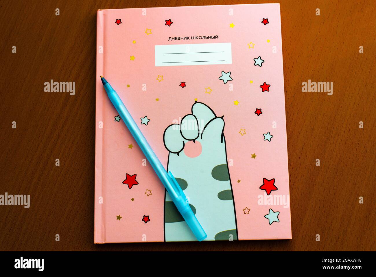 a new closed school diary with a pen for writing Stock Photo